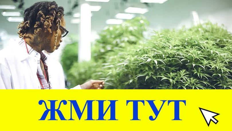 Купить наркотики в Уварово